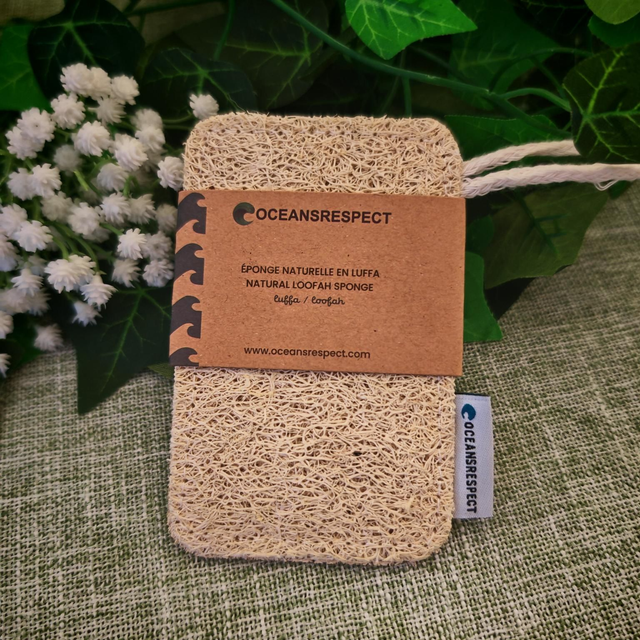 Eponge naturelle en luffa