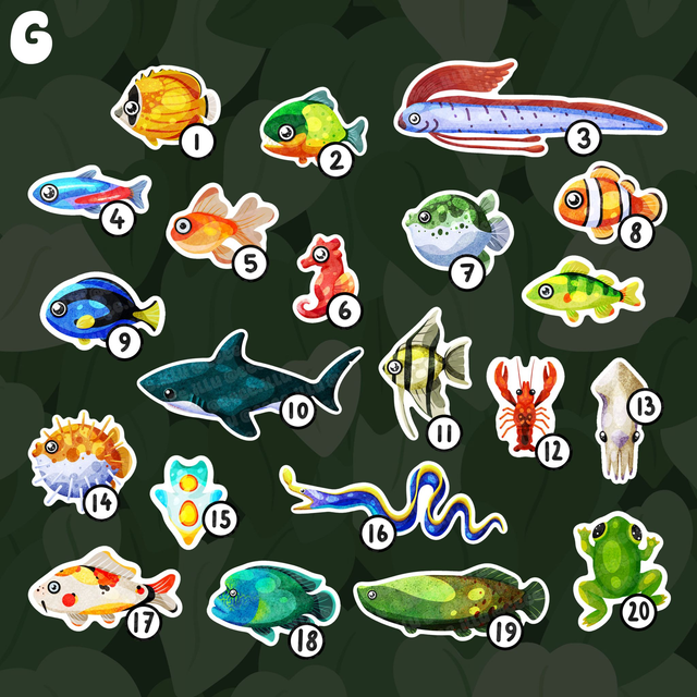 Crée ton Lot de Stickers !