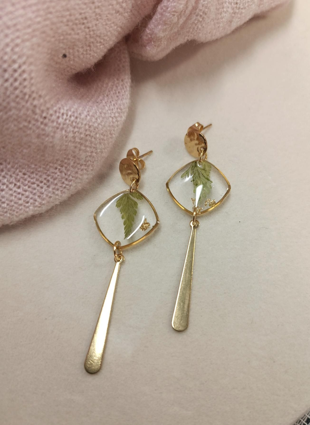 Les fougères pendantes