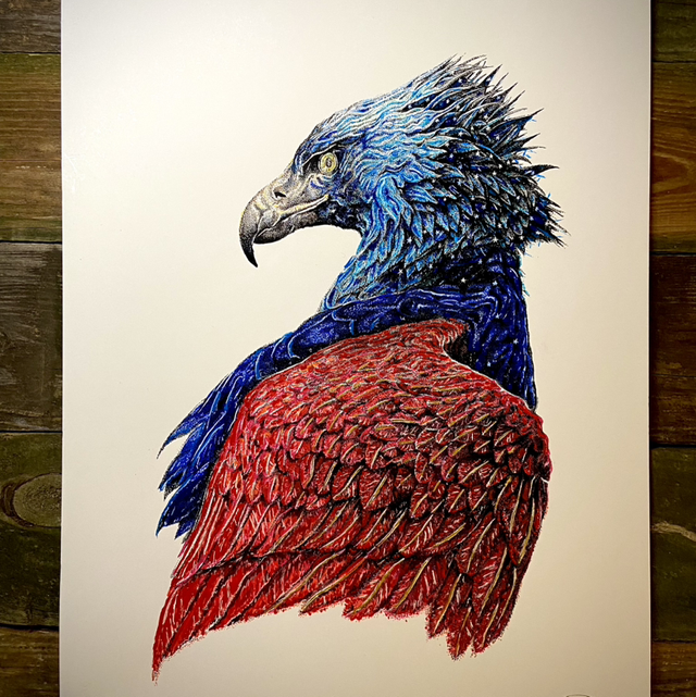 American eagle limited edition print 