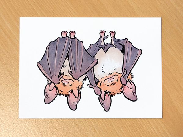 Postcard print Mouse-eared bats