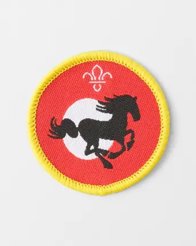 Cubs Activity Badge - Equestrian