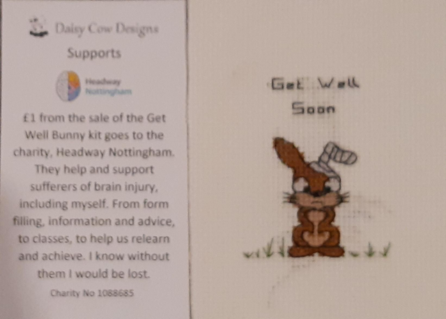 Get Well Bunny (brown) supporting Headway Nottingham 