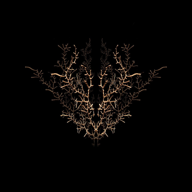 Filon de timidité n°1 | Tirage 1/8