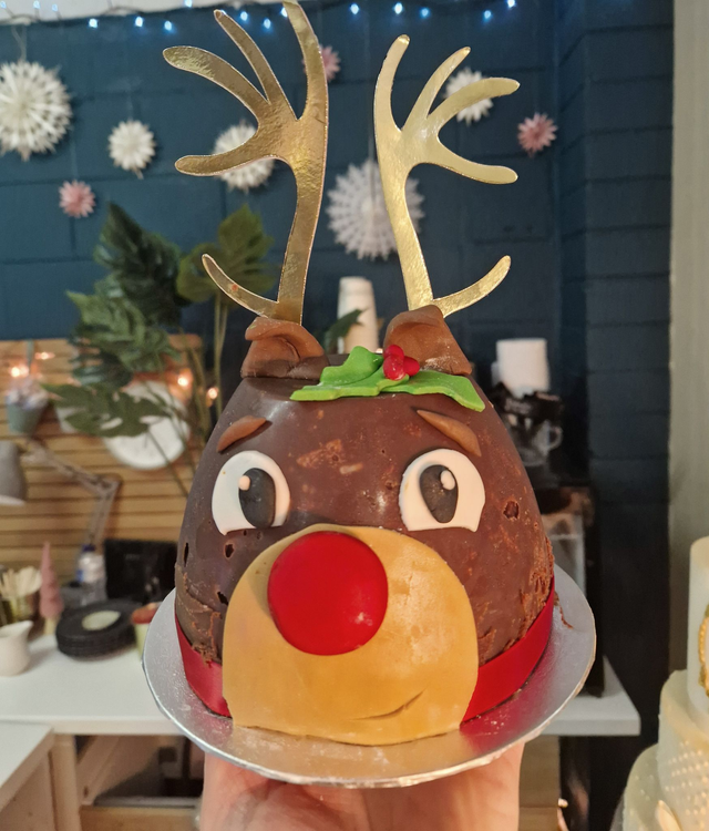 Rudolf Belgian Chocolate Biscuit  Pudding
