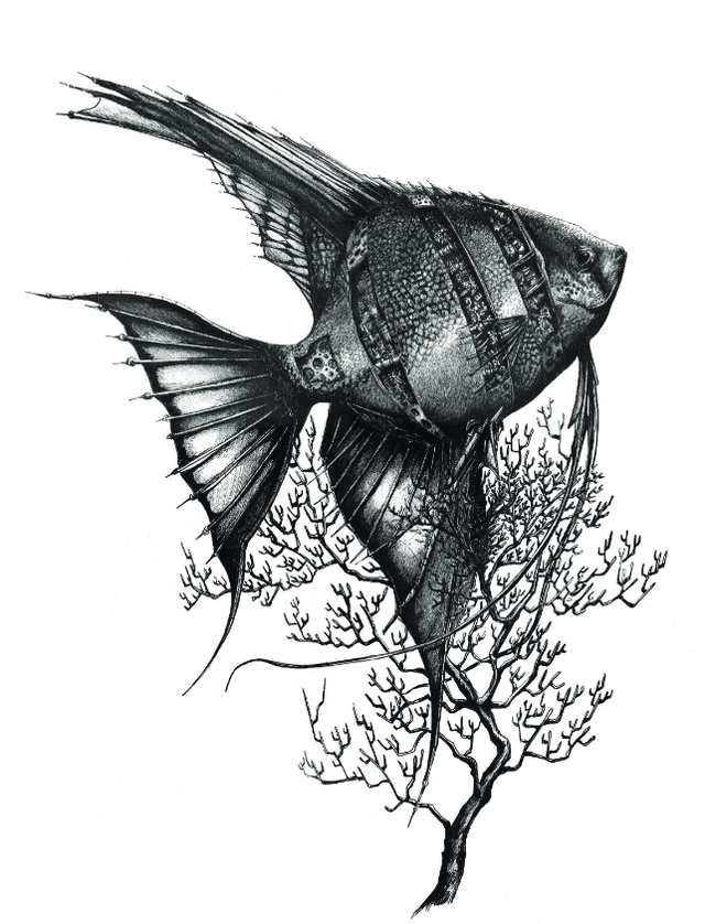 Scalaire - Edition Art