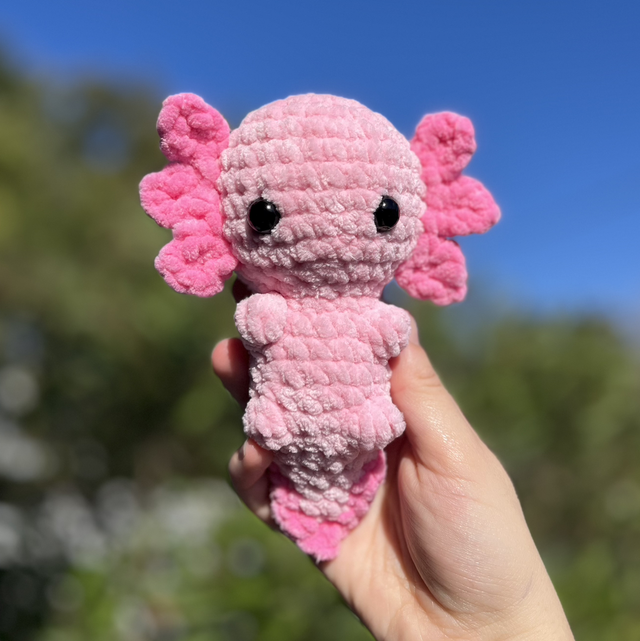 Axolotl 