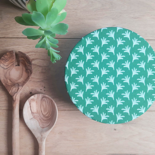 Charlotte à plats / Feuillage vert