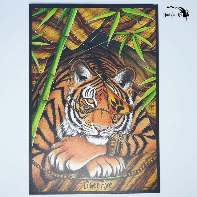 Illustrations PVC Forex A4