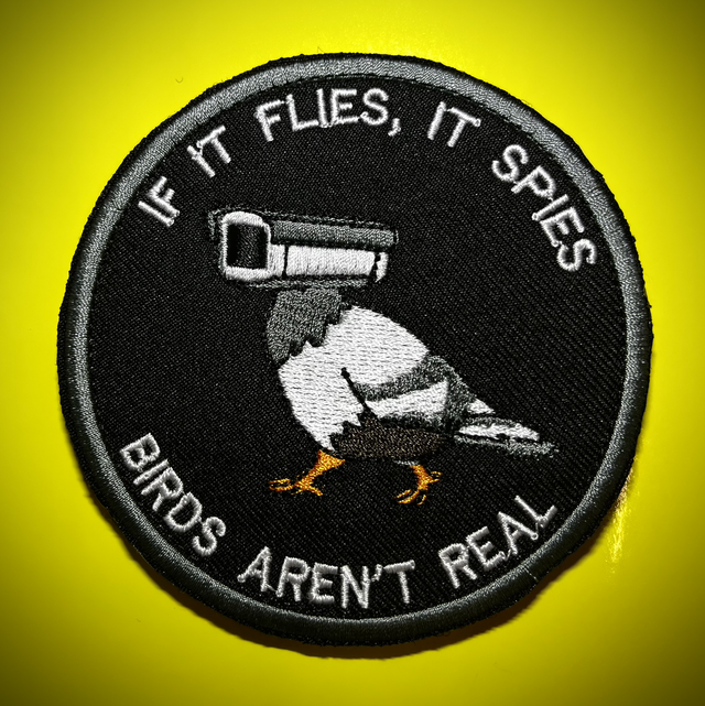 493 FGS If It Flies, It Spies… 