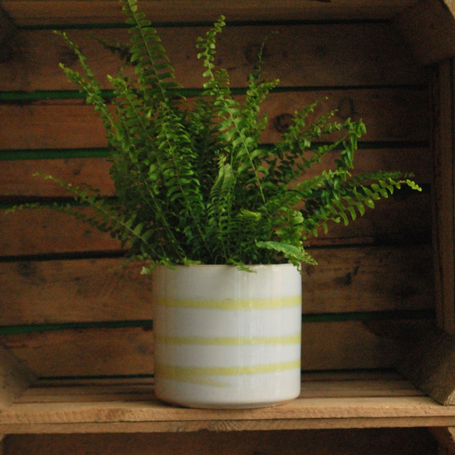Striped Cylinder Pot Yellow &amp; White