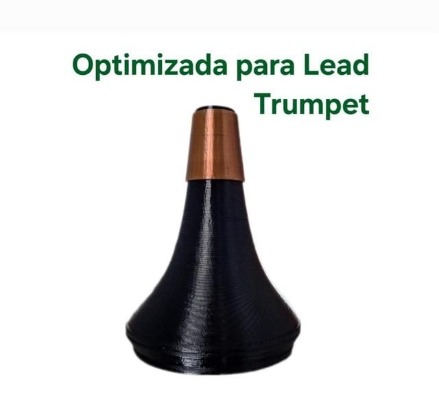 Tr.Practice Lead + Tr. Practice Standar