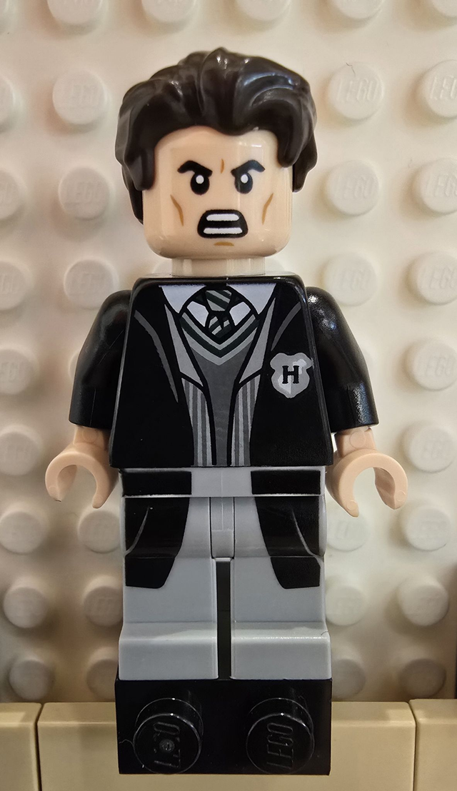 LEGO hp311 Tom Riddle Minifigur