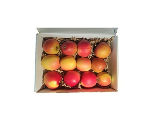 Real English Fruit Apple Selection Box (local)