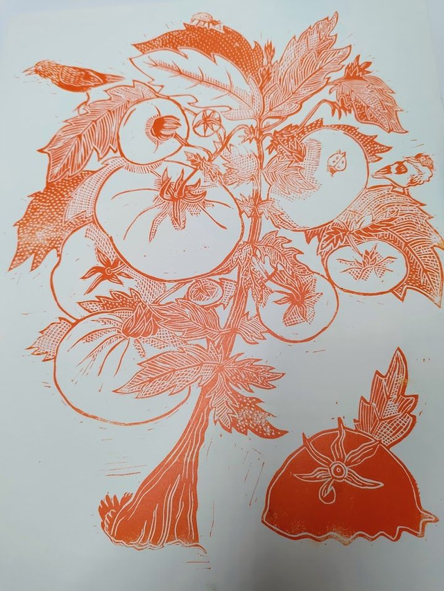 linogravure plant de tomate A4