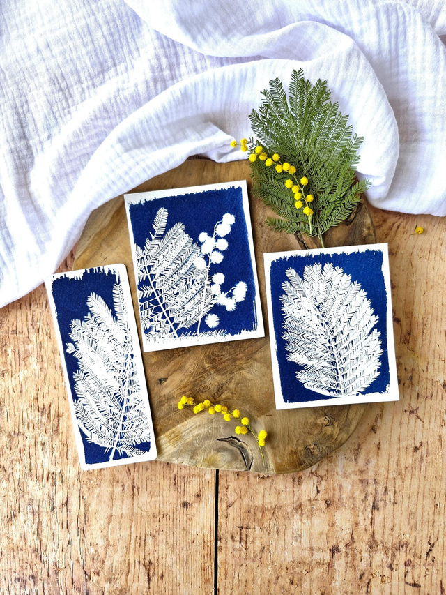 💙 Mini CyanÔ x3 - mini CyanÔ - lot 1 - Mimosa Ô!  