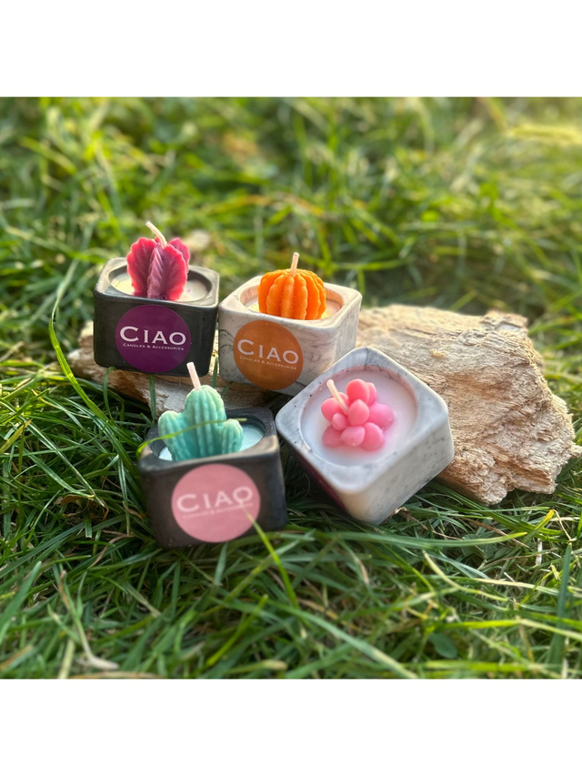 Petite Cactus Candle