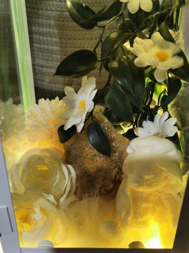 Petite lanterne LED personnalisable blanche