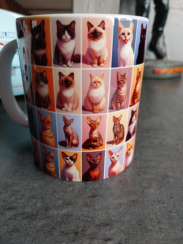 Mug  chats divers et variés 