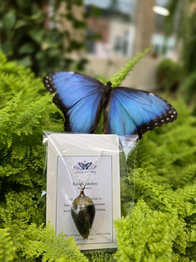 Kaelakee "Kuningmorfo nukk"