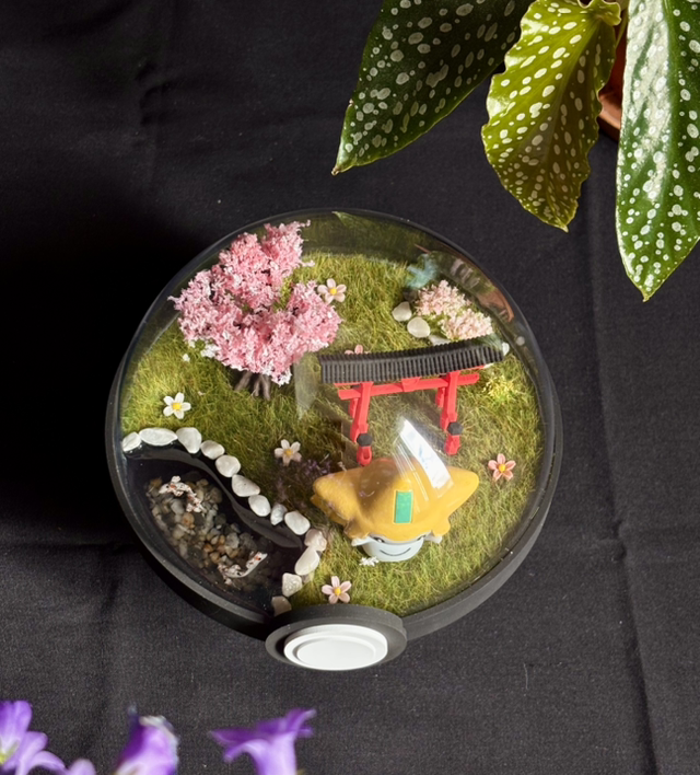 🌸 Terrarium Pokémon - Édition Japon - Jirachi