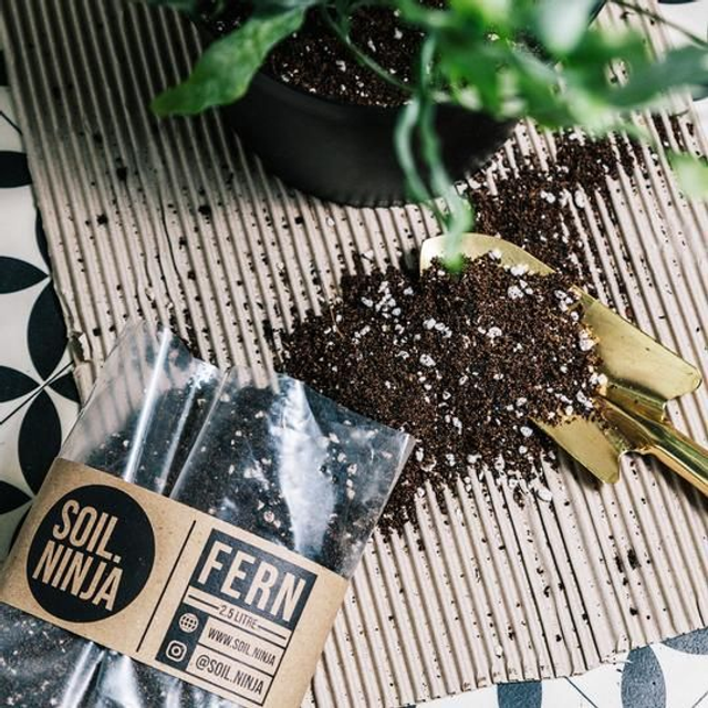 Fern Soil 2.5L