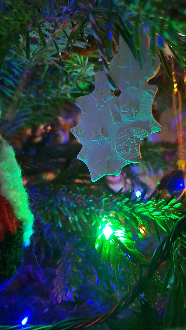 Holly Xmas decoration/present tag (paintable)