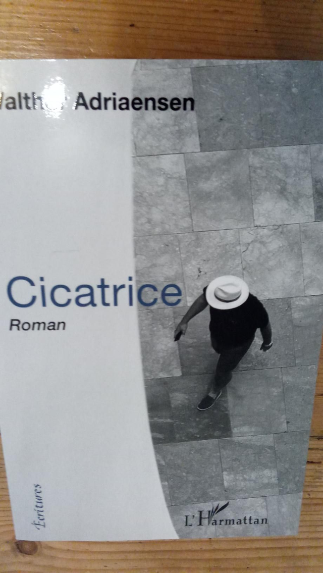 Cicatrice roman Walther Adriaensen 