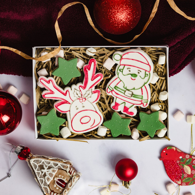 Santa &amp; Rudolph Biscuits