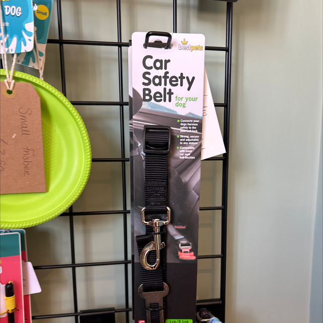 Lrg/xtrlrg seat belt