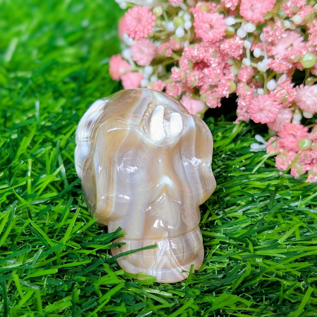 Orca Agate Skull - 2.5inch