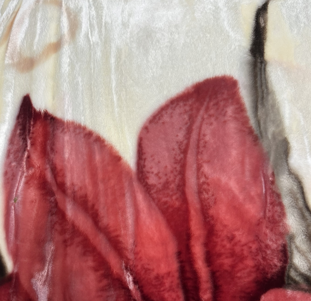 Couvertures polaire doublé 4kg 200/240 contour saumon/rose