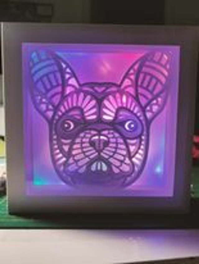 Cadre lumineux bouledogue 30x30