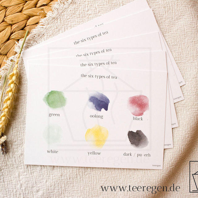 Tea Types - Set of 5 - Tea Culture On Postcards
