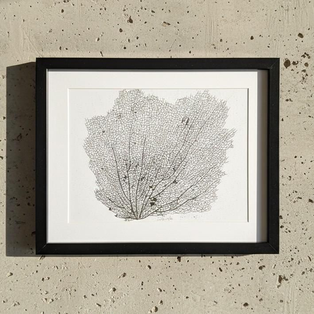 Gorgone #3 - dessin à l&#039; encre 