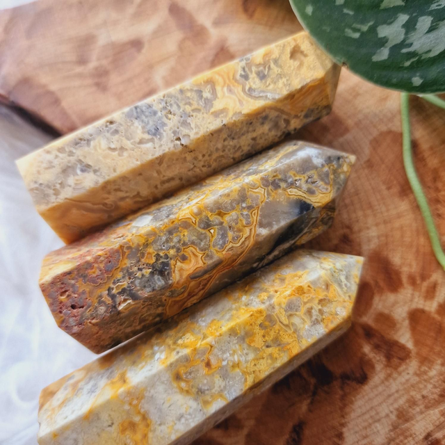 Crazy Lace Agate Point 