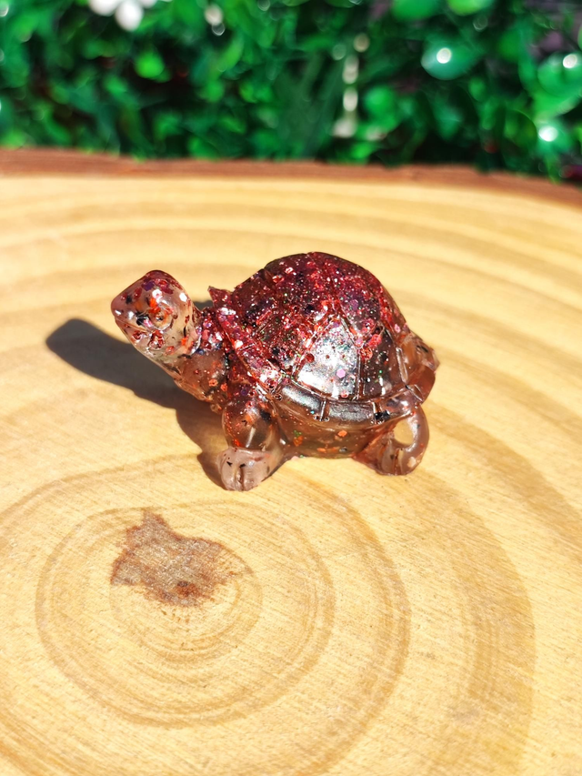 Tortue terrestre  