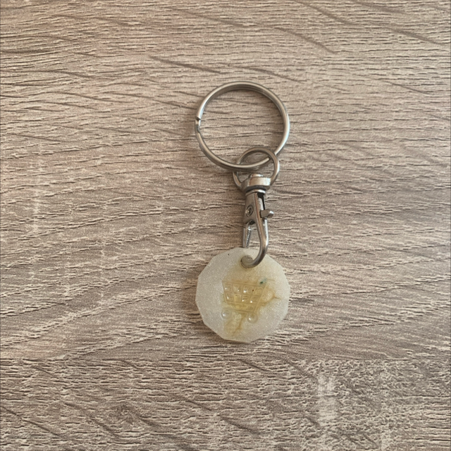 Porte-clés jeton de caddi