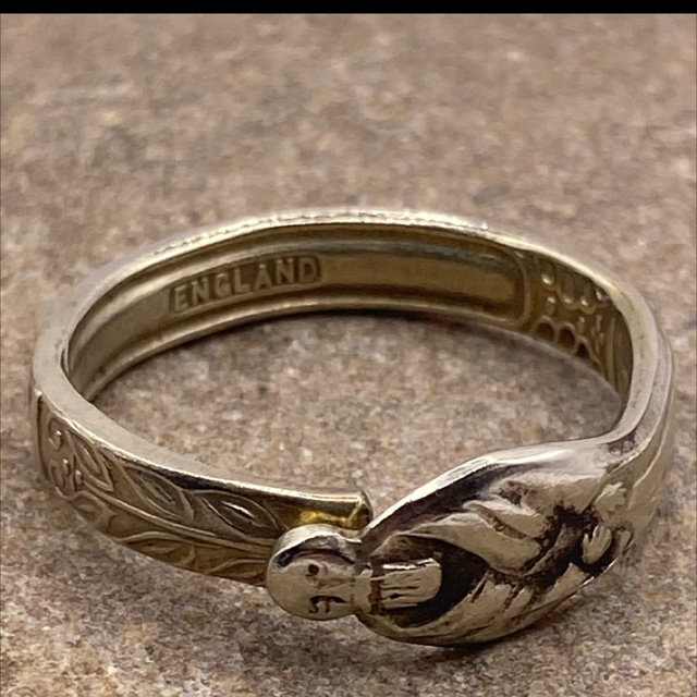 The Ring of Endurance