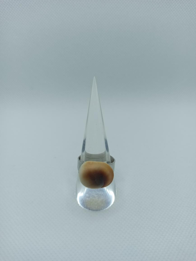 Œil de Sainte Lucie