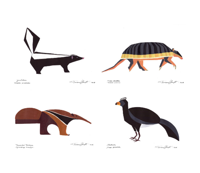 Conjunto de reproduções "BICHOS DO CERRADO" - SÉRIE 1