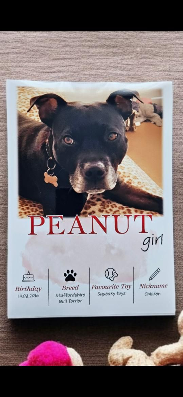 💛 Fur-ever Friend