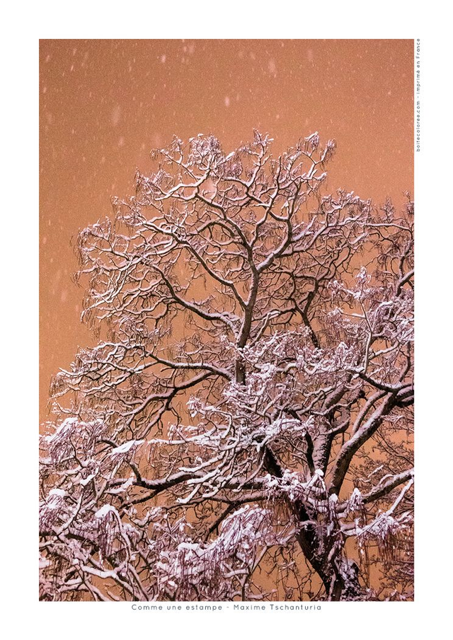 Affiche A4 - Arbre sous la neige &quot;Comme une estampe&quot;