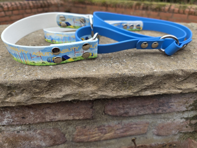 Martingale collar/lead combo 