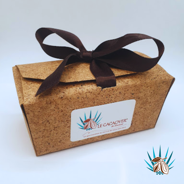 Chocolat fonctionnel aux probiotiques (alicament)