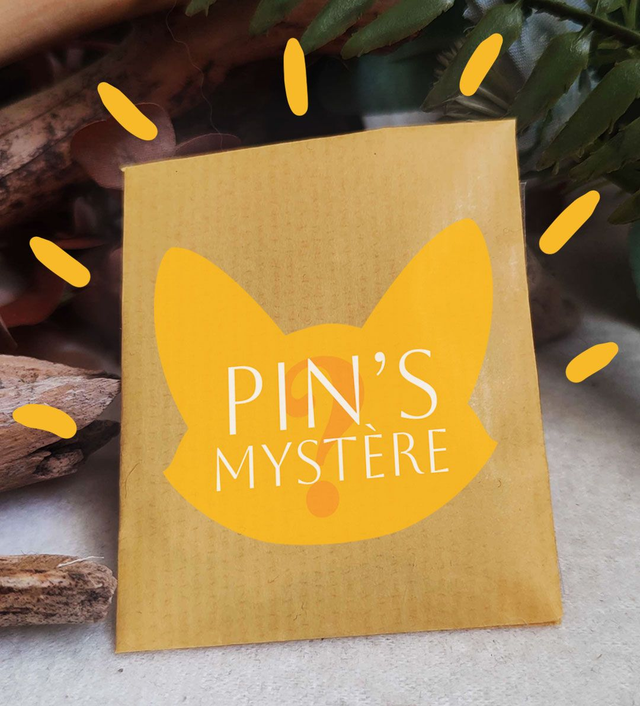 Pin's Mystère