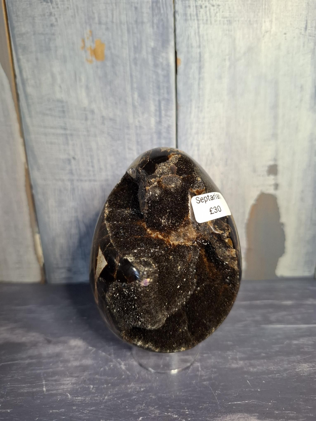 Septarian Egg 