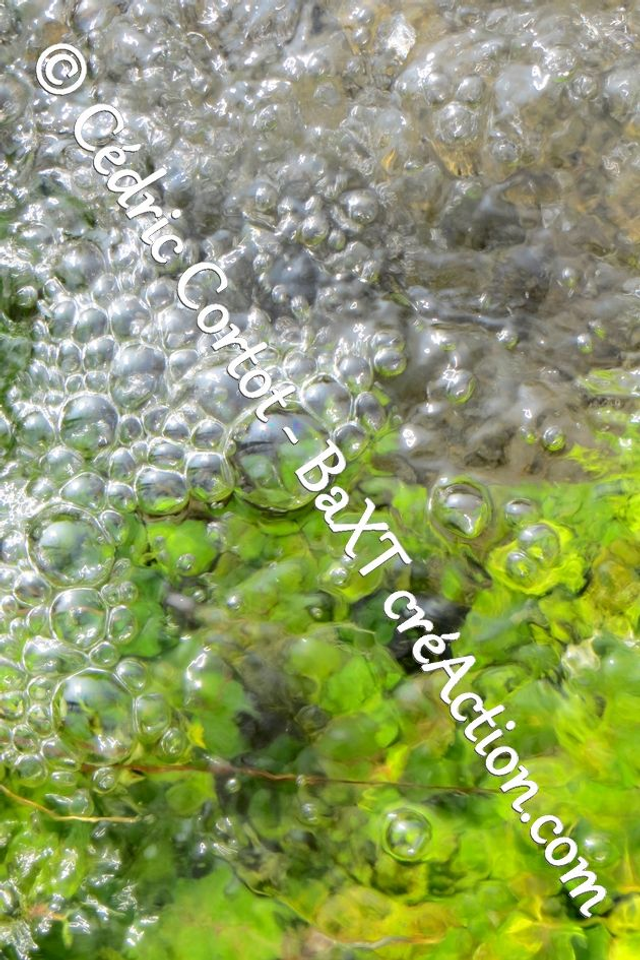 Impression sur alu dibond - Reflets et cours d'Eau (ref 8085)