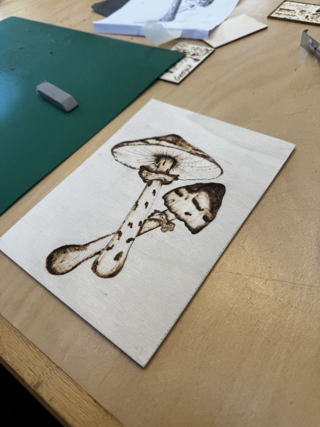 Saturday 17th October Fungi Inspired Pyrography Workshop in Ecclesall Woods