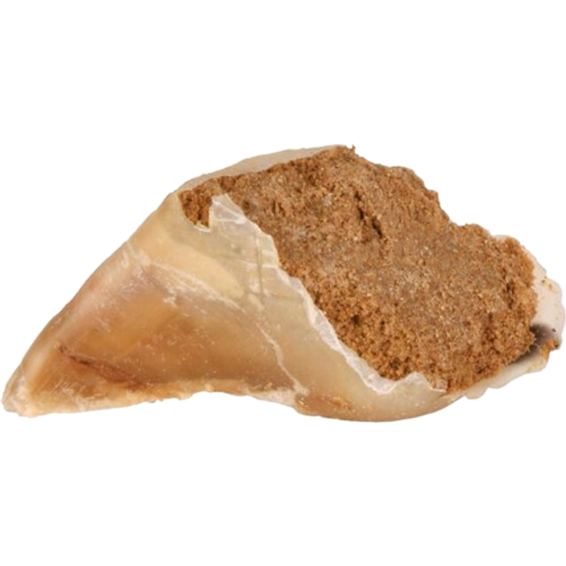 Sabot de veau fourré